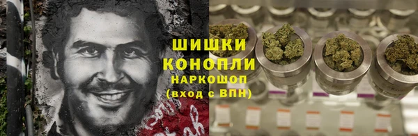 Альфа ПВП Белокуриха
