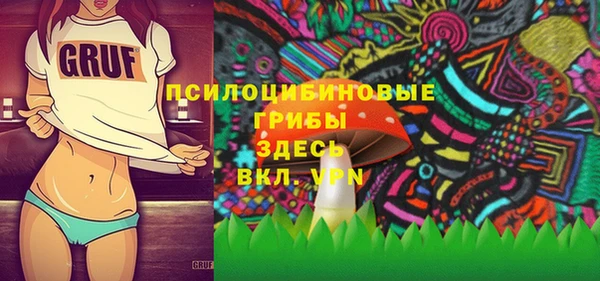 Альфа ПВП Белокуриха