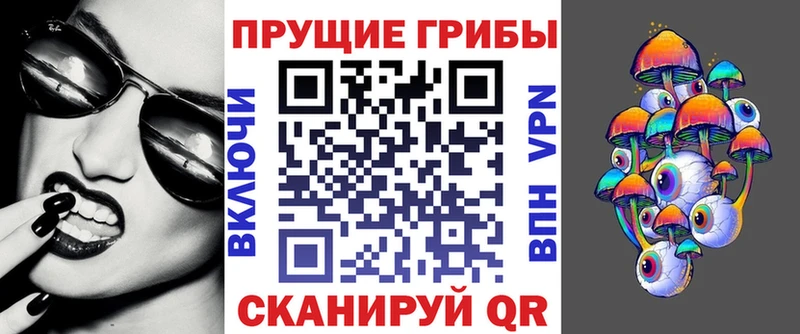Галлюциногенные грибы GOLDEN TEACHER  блэк спрут зеркало  Грязовец 