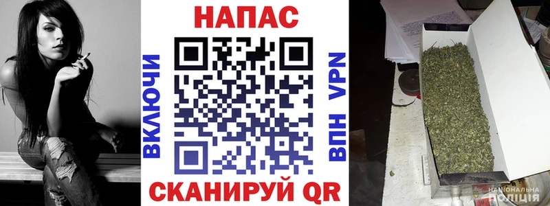 Канабис конопля Грязовец